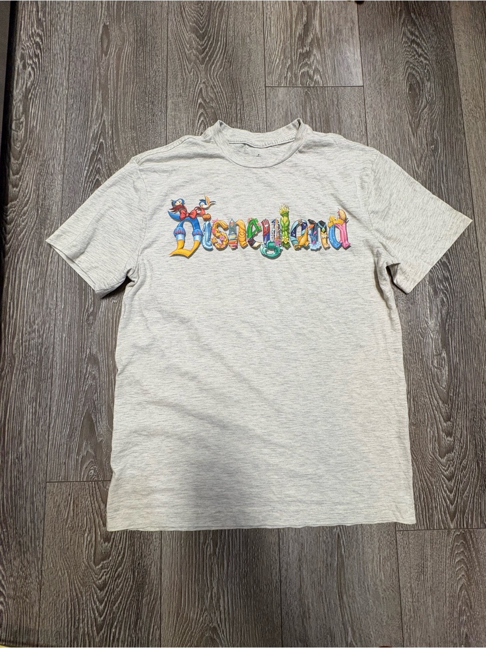 Disneyland Graphic Logo Tee in Heather Gray